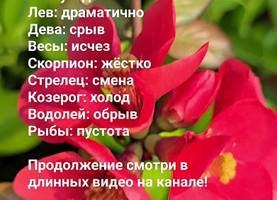 Бум астрологии, нумерологии, эзотерики. Почему люди в это верят, и можно ли верить вообще.